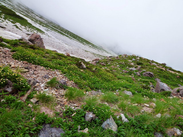 d0170615_11202636.jpg