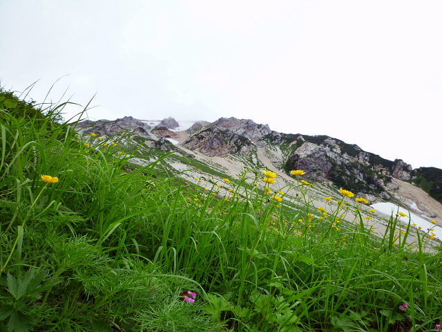 d0170615_1122791.jpg
