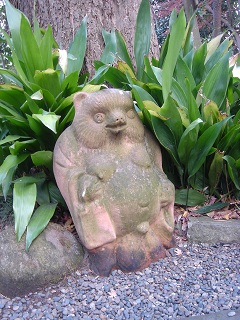 f0000521_711434.jpg