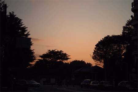 e0205625_2385177.gif