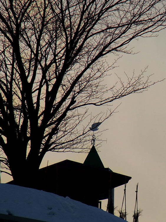 f0116528_20145773.jpg