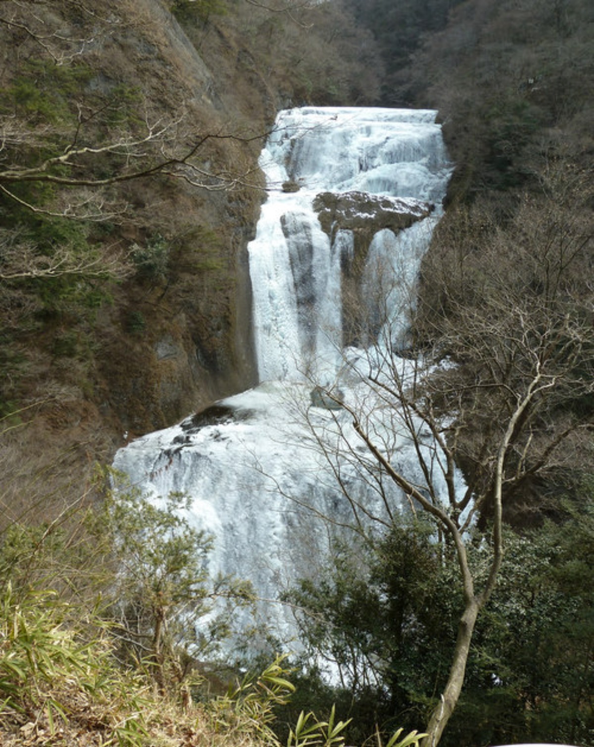 e0033229_22124473.jpg