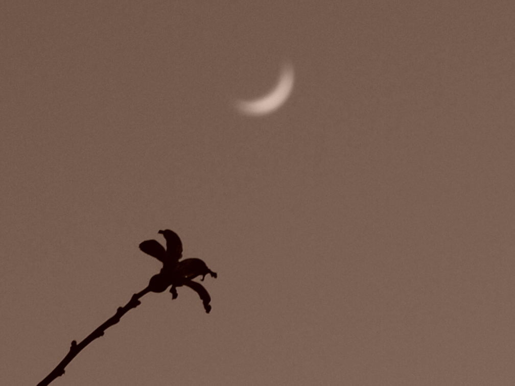 b0201233_18104936.jpg