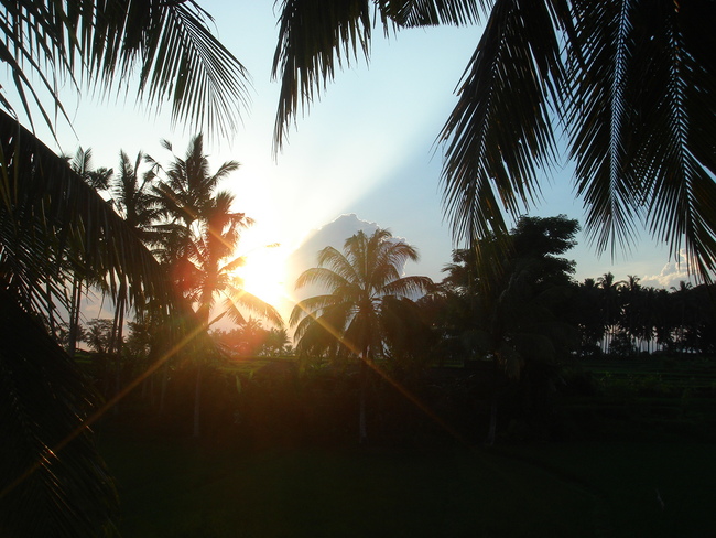 e0039033_23145027.jpg