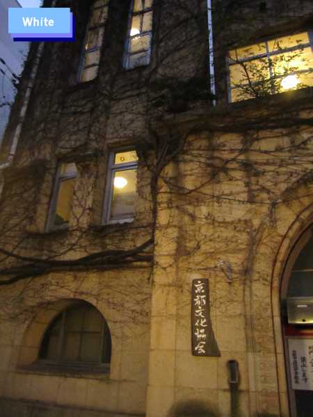 c0227134_8173699.jpg