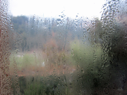 f0234936_2015221.jpg
