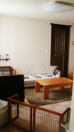 d0233839_946374.jpg