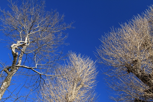 a0120949_8371352.jpg