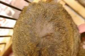 c0145449_231094.jpg