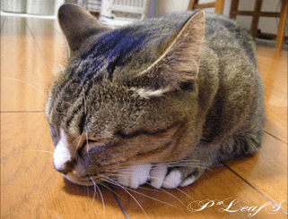 c0176651_15132799.gif