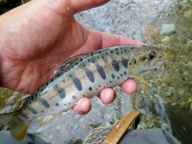 b0177355_2242054.jpg