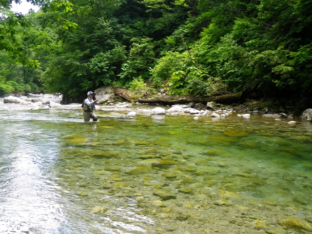 b0177355_2242520.jpg