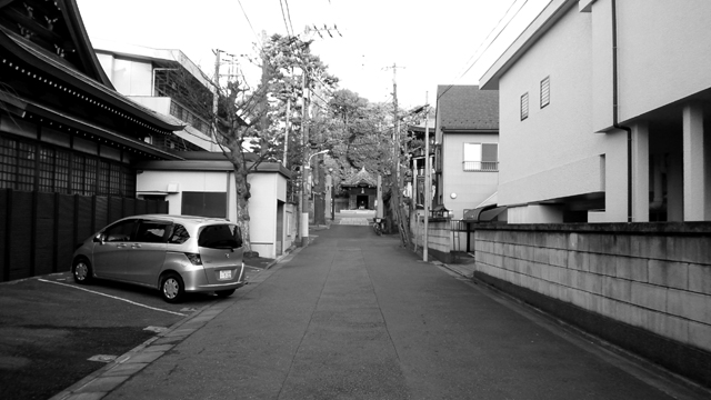 b0024261_19572921.jpg
