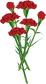 e0129862_21525254.gif