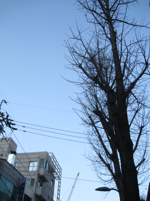 e0158363_22333148.jpg