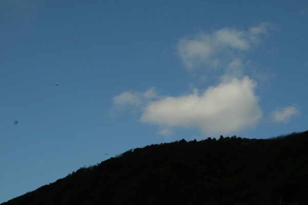 b0184974_15495235.jpg