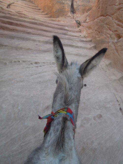 e0242479_148279.jpg