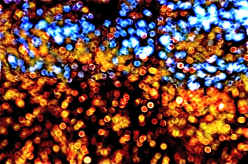 e0231581_1733336.jpg