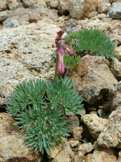e0145782_18535023.jpg