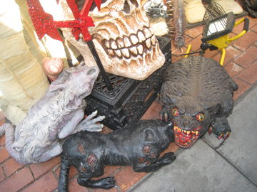 f0068883_1513197.jpg