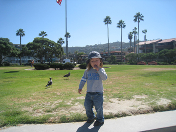 f0068883_1591683.jpg