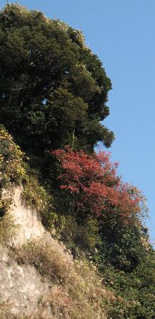 e0130185_1415454.jpg