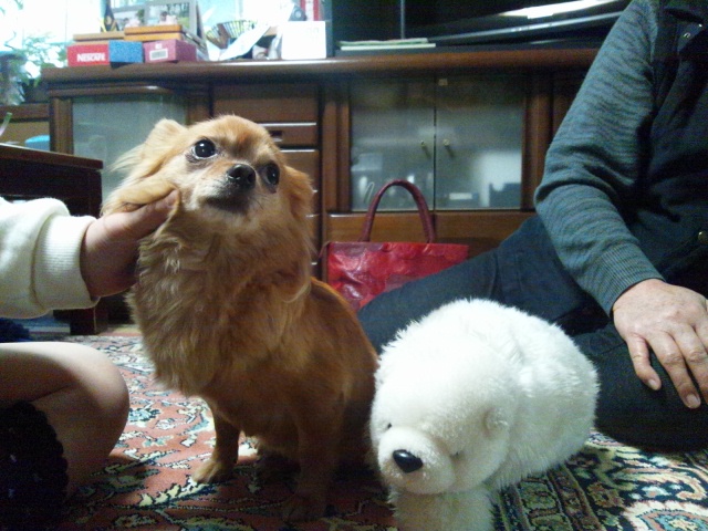 c0139090_01508.jpg