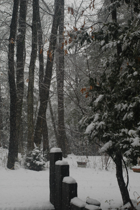 d0234293_8155518.jpg