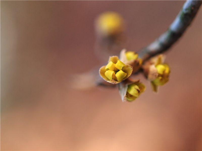 f0224100_23164951.jpg