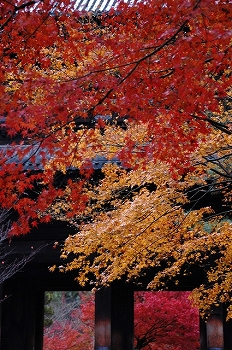 a0169902_1552227.jpg
