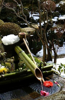 a0169902_1553554.jpg
