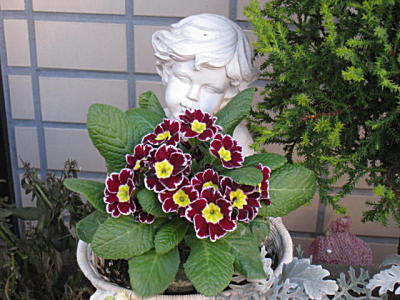 d0046702_182332.jpg