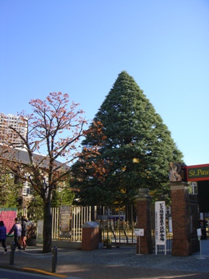 a0167803_1805189.jpg