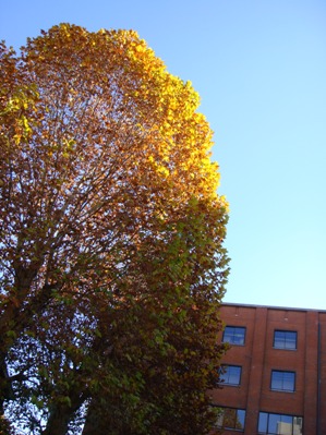 a0167803_18152560.jpg