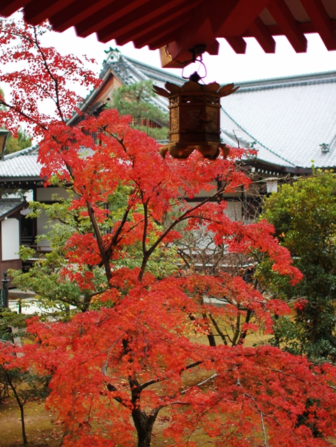 c0228404_2010576.jpg
