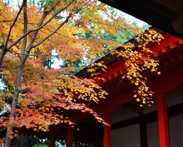 c0228404_20113022.jpg