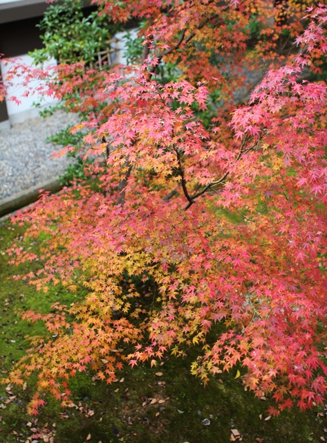 c0228404_20134257.jpg