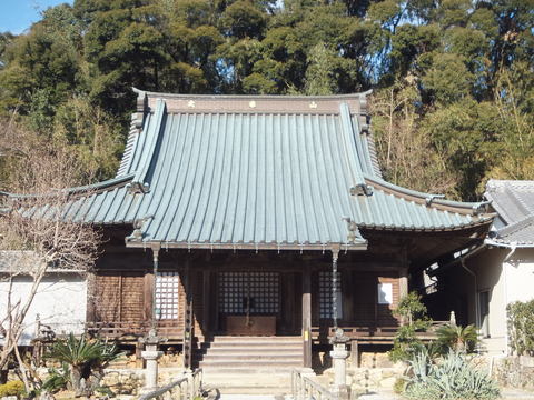 d0149306_1391354.jpg