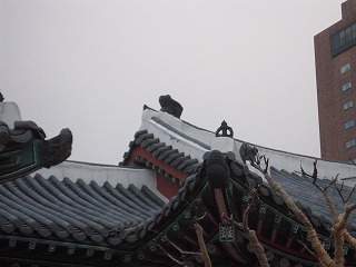 f0199511_21522471.jpg