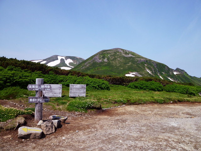 d0170615_8411388.jpg