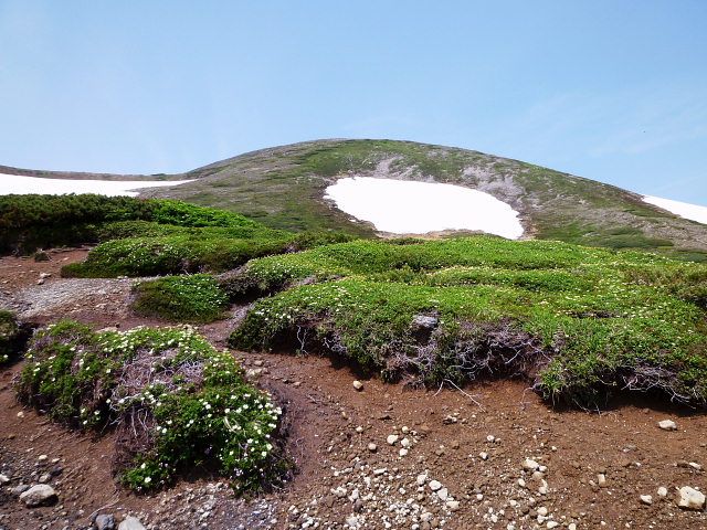 d0170615_8424624.jpg