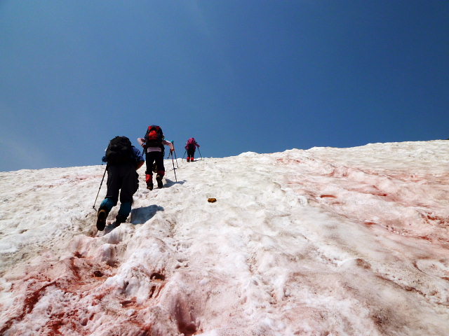d0170615_8431584.jpg