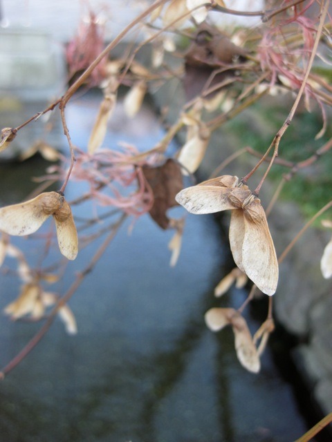 c0207119_2243589.jpg