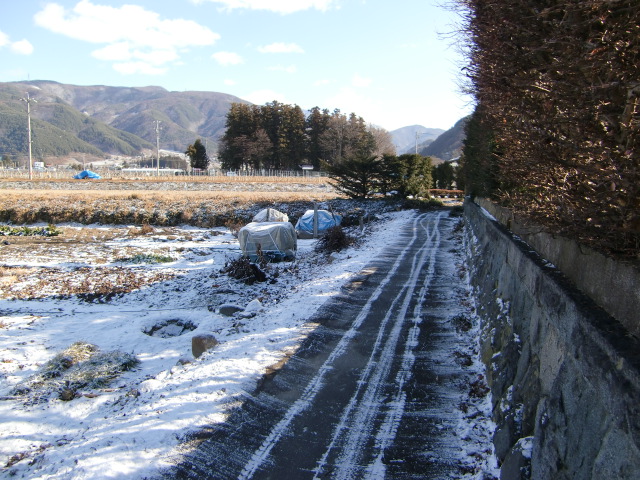 e0234924_1146051.jpg