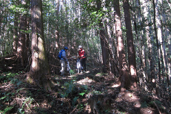 e0002927_1420614.jpg