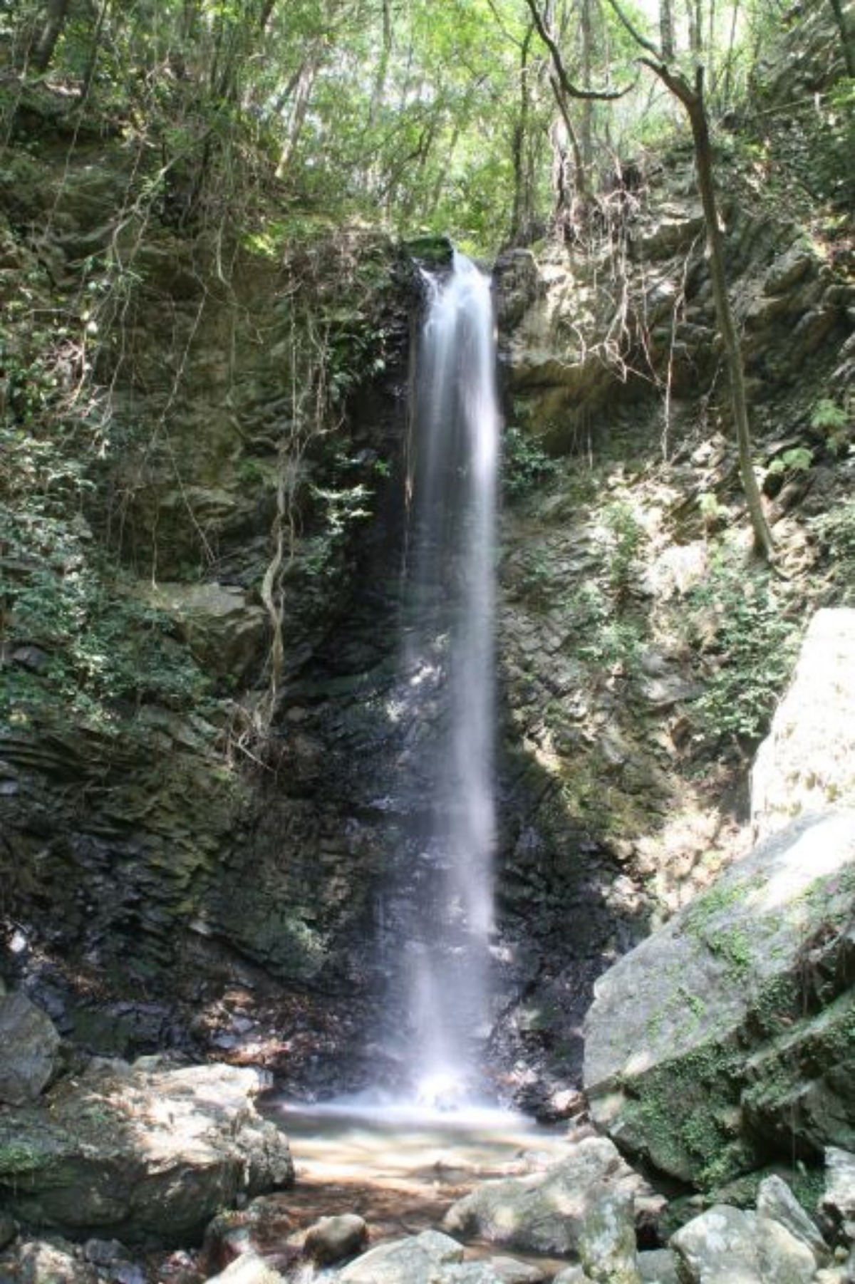 e0033229_1149586.jpg