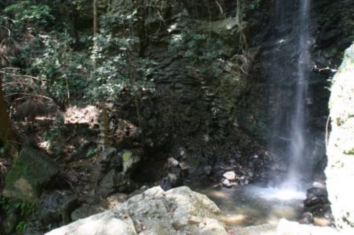 e0033229_11551880.jpg