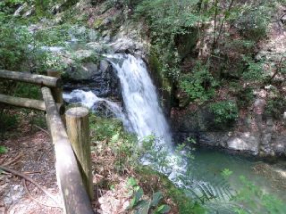 e0033229_1202444.jpg