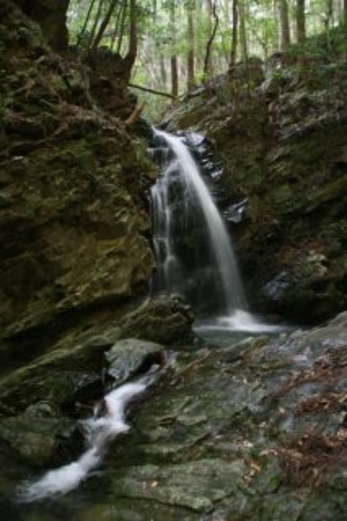 e0033229_1221455.jpg