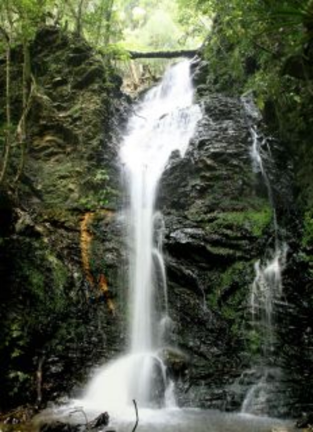 e0033229_1633759.jpg